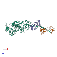 Hetero trimeric assembly 1 of PDB entry 2os8 coloured by chemically distinct molecules, top view.