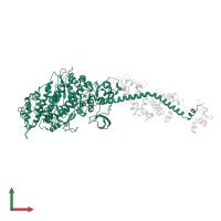 Myosin heavy chain in PDB entry 2os8, assembly 1, front view.