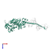 Myosin heavy chain in PDB entry 2os8, assembly 1, top view.