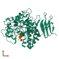 PDB entry 2osx coloured by chain, front view.