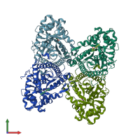 PDB entry 2ot1 coloured by chain, front view.