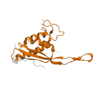 The deposited structure of PDB entry 2otj contains 1 copy of Pfam domain PF00237 (Ribosomal protein L22p/L17e) in Large ribosomal subunit protein uL22. Showing 1 copy in chain S [auth R].