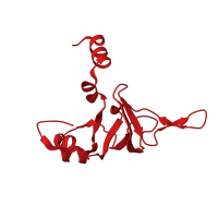 The deposited structure of PDB entry 2otj contains 1 copy of CATH domain 2.30.30.30 (SH3 type barrels.) in Large ribosomal subunit protein uL24. Showing 1 copy in chain U [auth T].