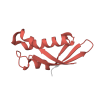 The deposited structure of PDB entry 2otj contains 1 copy of Pfam domain PF01198 (Ribosomal protein L31e) in Large ribosomal subunit protein eL31. Showing 1 copy in chain Y [auth X].