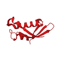 The deposited structure of PDB entry 2otj contains 1 copy of SCOP domain 54576 (Ribosomal protein L31e) in Large ribosomal subunit protein eL31. Showing 1 copy in chain Y [auth X].