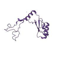 The deposited structure of PDB entry 2otj contains 1 copy of SCOP domain 52043 (Ribosomal protein L32e) in Large ribosomal subunit protein eL32. Showing 1 copy in chain Z [auth Y].