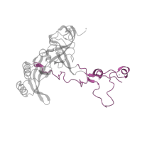 The deposited structure of PDB entry 2otj contains 1 copy of CATH domain 4.10.960.10 (Ribosomal protein L3; domain 3) in Large ribosomal subunit protein uL3. Showing 1 copy in chain D [auth B].