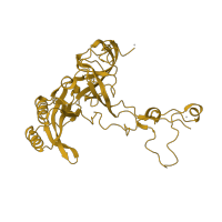 The deposited structure of PDB entry 2otj contains 1 copy of SCOP domain 50461 (Ribosomal protein L3) in Large ribosomal subunit protein uL3. Showing 1 copy in chain D [auth B].