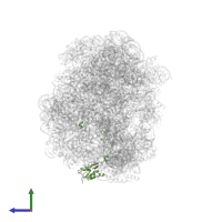 Large ribosomal subunit protein uL15 in PDB entry 2otj, assembly 1, side view.
