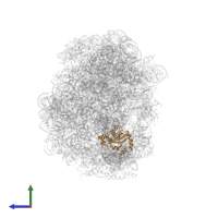 Large ribosomal subunit protein eL15 in PDB entry 2otj, assembly 1, side view.