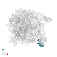 Large ribosomal subunit protein uL18 in PDB entry 2otj, assembly 1, front view.