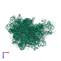 23S ribosomal RNA in PDB entry 2otj, assembly 1, top view.