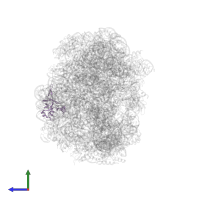 Large ribosomal subunit protein uL24 in PDB entry 2otj, assembly 1, side view.