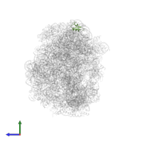 Large ribosomal subunit protein eL24 in PDB entry 2otj, assembly 1, side view.