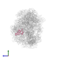 Large ribosomal subunit protein uL30 in PDB entry 2otj, assembly 1, side view.