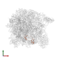 Large ribosomal subunit protein eL42 in PDB entry 2otj, assembly 1, front view.