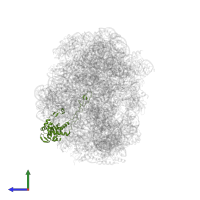Large ribosomal subunit protein uL4 in PDB entry 2otj, assembly 1, side view.