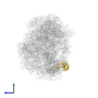 Large ribosomal subunit protein uL5 in PDB entry 2otj, assembly 1, side view.