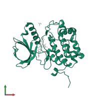 Serine/threonine-protein kinase PLK1 in PDB entry 2ou7, assembly 1, front view.