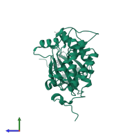 Serine/threonine-protein kinase PLK1 in PDB entry 2ou7, assembly 1, side view.