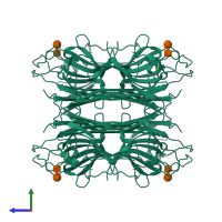 Homo tetrameric assembly 2 of PDB entry 2ovu coloured by chemically distinct molecules, side view.