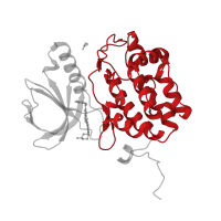 The deposited structure of PDB entry 2owb contains 1 copy of CATH domain 1.10.510.10 (Transferase(Phosphotransferase); domain 1) in Serine/threonine-protein kinase PLK1. Showing 1 copy in chain A.