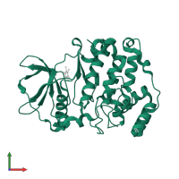 Casein kinase II subunit alpha in PDB entry 2oxy, assembly 1, front view.