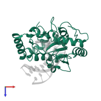 Uracil-DNA glycosylase in PDB entry 2oyt, assembly 1, top view.