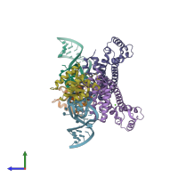 PDB entry 2ozb coloured by chain, side view.