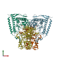 PDB entry 2ozl coloured by chain, front view.