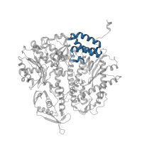 The deposited structure of PDB entry 2ozm contains 1 copy of CATH domain 1.20.1280.300 (Monooxygenase) in DNA-directed DNA polymerase. Showing 1 copy in chain C [auth A].