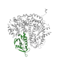 The deposited structure of PDB entry 2ozm contains 1 copy of CATH domain 3.30.342.10 (DNA Polymerase; Chain A, domain 1) in DNA-directed DNA polymerase. Showing 1 copy in chain C [auth A].