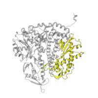 The deposited structure of PDB entry 2ozm contains 1 copy of CATH domain 3.90.1600.10 (Palm domain of DNA polymerase) in DNA-directed DNA polymerase. Showing 1 copy in chain C [auth A].