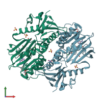 PDB entry 2p0a coloured by chain, front view.