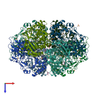 PDB entry 2p0i coloured by chain, top view.