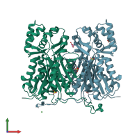 PDB entry 2p0u coloured by chain, front view.