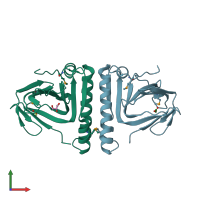 PDB entry 2p12 coloured by chain, front view.