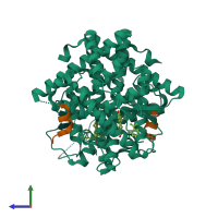 Hetero tetrameric assembly 1 of PDB entry 2p15 coloured by chemically distinct molecules, side view.