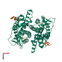 Hetero tetrameric assembly 1 of PDB entry 2p15 coloured by chemically distinct molecules, top view.