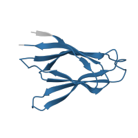 The deposited structure of PDB entry 2p1b contains 10 copies of Pfam domain PF03066 (Nucleoplasmin/nucleophosmin domain) in Nucleophosmin. Showing 1 copy in chain A.