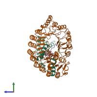 PDB entry 2p1o coloured by chain, side view.