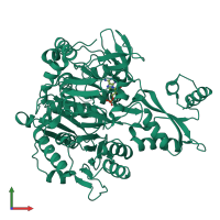 Monomeric assembly 2 of PDB entry 2p20 coloured by chemically distinct molecules, front view.