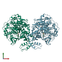 PDB entry 2p20 coloured by chain, front view.