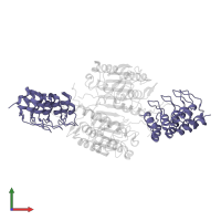 Caspase-2 in PDB entry 2p2c, assembly 3, front view.