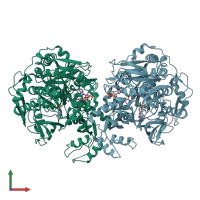 PDB entry 2p2f coloured by chain, front view.