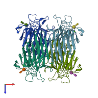 PDB entry 2p2k coloured by chain, top view.