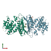 PDB entry 2p2s coloured by chain, front view.