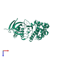 Mitogen-activated protein kinase 10 in PDB entry 2p33, assembly 1, top view.