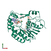 PDB entry 2p3l coloured by chain, front view.