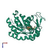 PDB entry 2p3s coloured by chain, top view.
